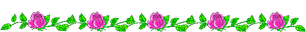 Fées de jardin  ( mes fleurs )