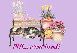 COMMENT ELOIGNER LES CHATS DES PLANTES