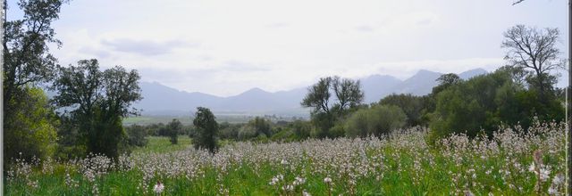 Bonnes fêtes de Pâques