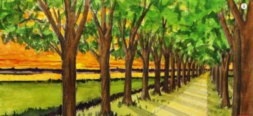 Dessin et peinture - vidéo 2355 : Comment dessiner, en perspective, une route bordée d’arbres, avec un point de fuite à l'horizon ? 