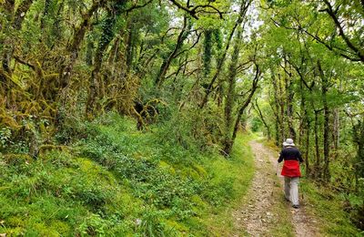 Une semaine dans le Lot : Promenade entre Bouziès et Saint-Cirq-Lapopie (3/3)