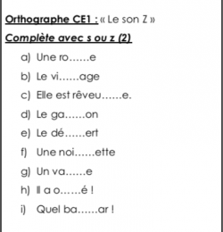 Orthographe CE1 : le son Z (s ou z) (2)