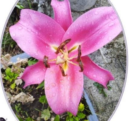 Devinette : Que voyez-vous ???