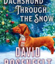 Download free books for ipad ibooks Dachshund Through the Snow: An Andy Carpenter Mystery 9781250237682 by David Rosenfelt