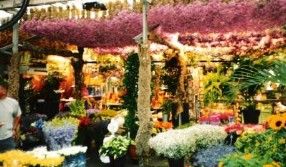 Marché aux fleurs