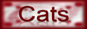 Nouvelle traduction : Cats d'Elaine
