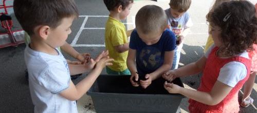 Les petits jardiniers