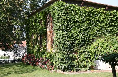 ÉCOMUSÉE DU MOULIN D'EN HAUT, A DORMANS (Marne - 51)