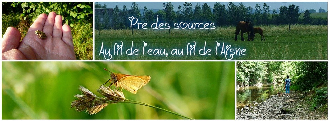 Header cover