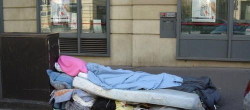 Aperçus de la jungle autochtone de Paris