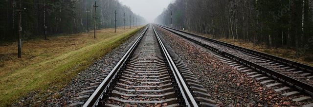 La Ligne, Aharon Appelfeld, traduit de l’hébreu par Valérie Zenatti (L’Olivier)