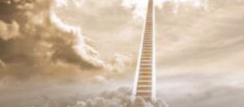 vous avez dit ELVIS -titre en rapport -autour de lui