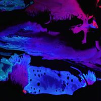 Le1f et Boody, martiens de la musique avec le Liquid Ep
