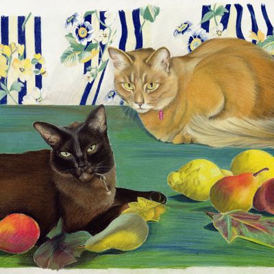 Tableau de chats 266 : Chats avec fruits