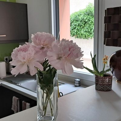 bon début de semaine a tous les loulous 