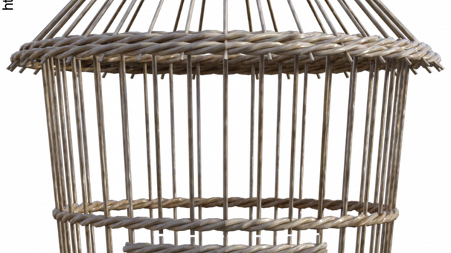 Tube de cage à oiseaux en osier (png, poser, render)