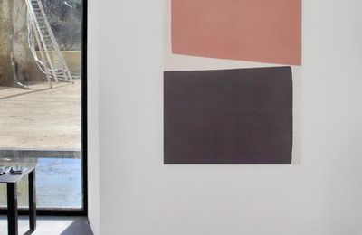 GUILLAUME MOSCHINI CHEZ ÉRIC LINARD