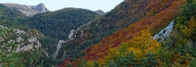 Une petite heure d'observation dans le Verdon