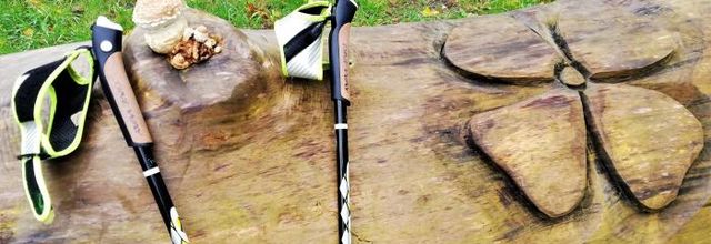 Rencontre entre nature et sculpture