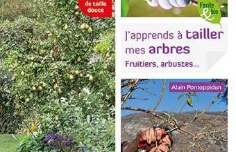 Comment tailler arbres et arbustes