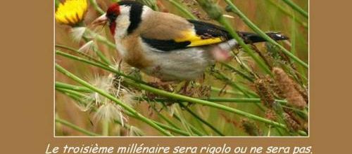 De gentils messagers...