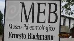 Un musée paléontologique