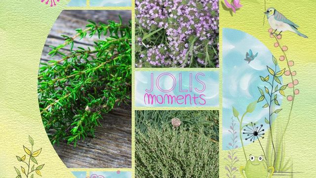 Au Jardin d'Arômes (3)