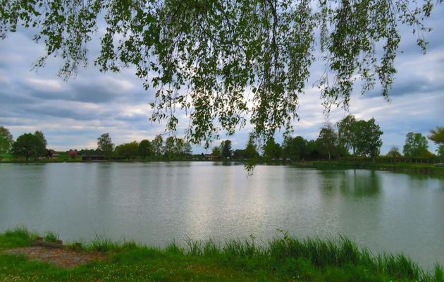 Mayet dans la Sarthe