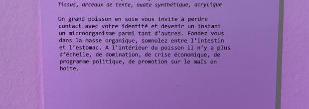 Vendredi 6 sept 2024