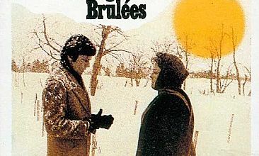 LES GRANGES BRULEES - BOX OFFICE ALAIN DELON ET SIMONE SIGNORET 1973