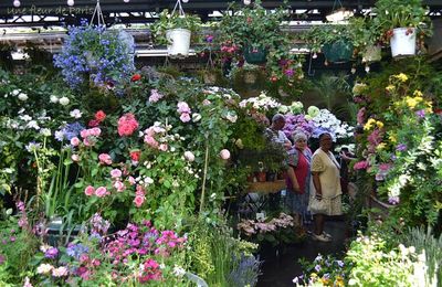 L'Île de la Cité : Marché aux fleurs Reine Elisabeth II