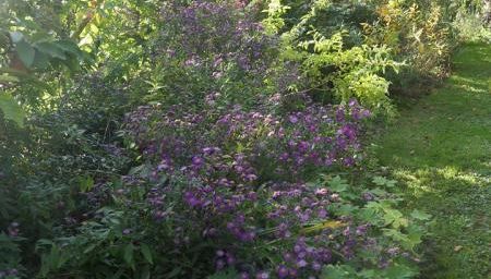 Pose sur fin d'octobre