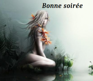 Bonne nuit