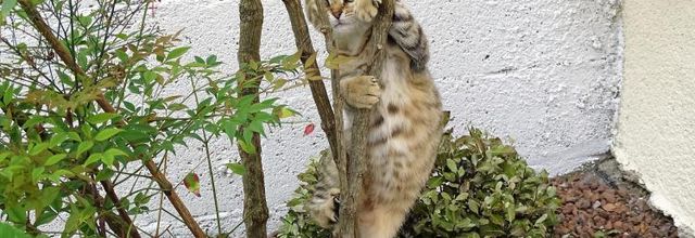 Dimanche avec Quya bébé et quelques photos d'actualité