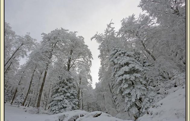 Paysages des Pyrénées (Année 2010)