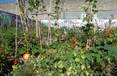 Les journées du patrimoine 2014 : visite du jardin caché des Chartrons...