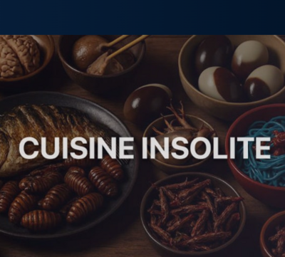 Les vidéos insolites qui font le buzz à voir en ligne