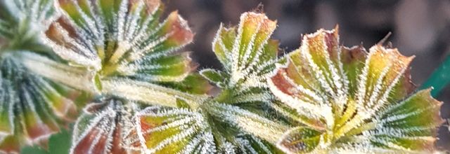 Et moi, pendant c'temps-là ...