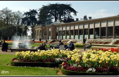 LE PARC DU THABOR DE RENNES  (Bretagne ).- 1 -