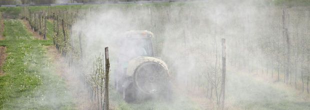 39 substances trouvées sur des pommes vendues en grandes surfaces