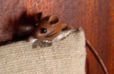 Souris mini !