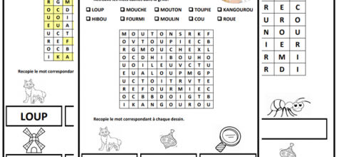Cherche et copie