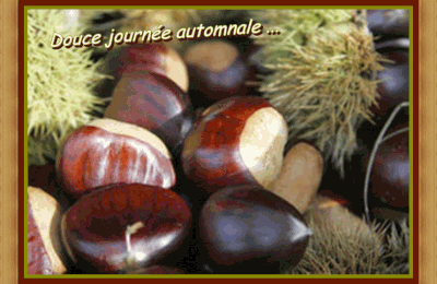 Retrouvons la châtaigne "gourmande"...