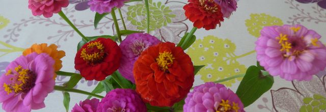 a tous ceux que l on aime et qui ne sont plus de se monde , mais si pres de nos coeurs 