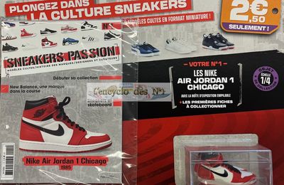 N° 1 Sneakers passion - Test 