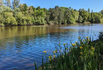 Défi reflets N° 12 / 2024