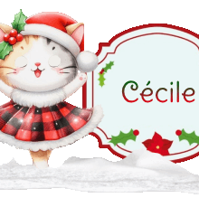Réception Cécile
