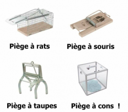 Un piège à ...