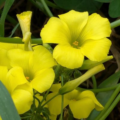 Bonne Année 2026 à tous