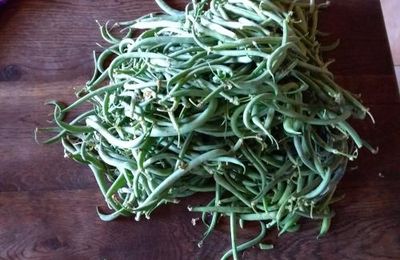 La fin du cycle du jardin:les récoltes 